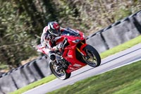 Oulton-Park-20th-March-2020;PJ-Motorsport-Photography-2020;anglesey;brands-hatch;cadwell-park;croft;donington-park;enduro-digital-images;event-digital-images;eventdigitalimages;mallory;no-limits;oulton-park;peter-wileman-photography;racing-digital-images;silverstone;snetterton;trackday-digital-images;trackday-photos;vmcc-banbury-run;welsh-2-day-enduro